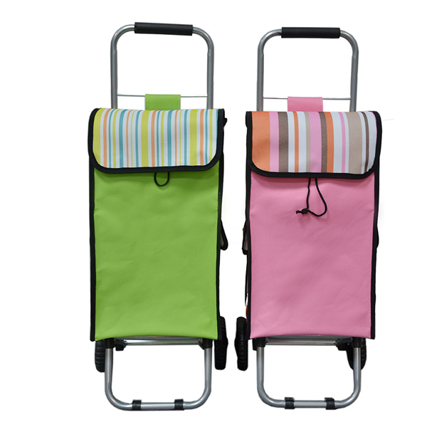 High Quality 2 Wheels Vogue Folding Shopping Cooler Trolley Bag