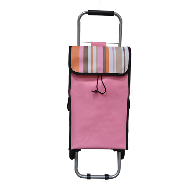 High Quality 2 Wheels Vogue Folding Shopping Cooler Trolley Bag