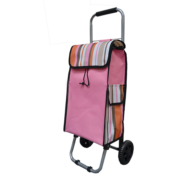 High Quality 2 Wheels Vogue Folding Shopping Cooler Trolley Bag